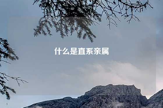 什么是直系亲属