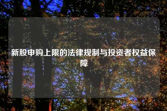 新股申购上限的法律规制与投资者权益保障