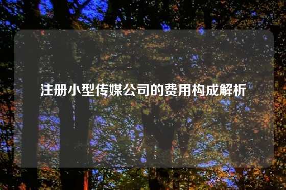 注册小型传媒公司的费用构成解析