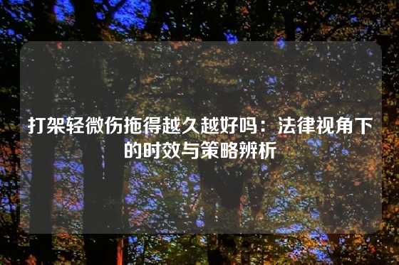 打架轻微伤拖得越久越好吗:法律视角下的时效与策略辨析