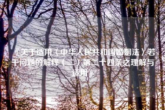 《关于适用〈中华人民共和国婚姻法〉若干问题的解释（二）第二十四条之理解与适用》