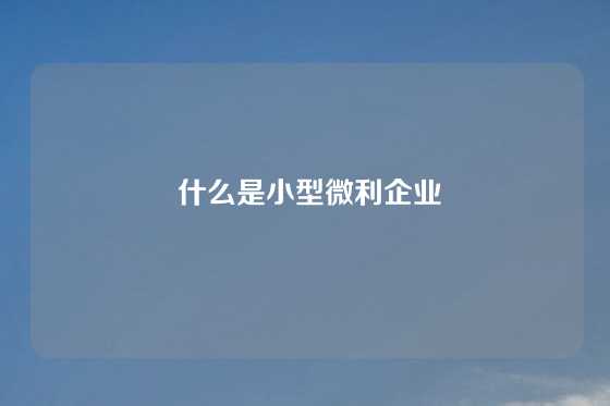  什么是小型微利企业