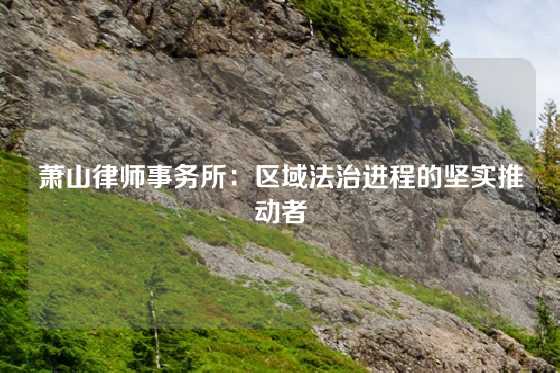 萧山律师事务所:区域法治进程的坚实推动者