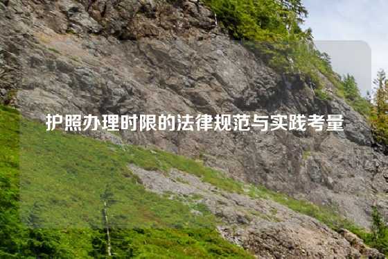 护照办理时限的法律规范与实践考量