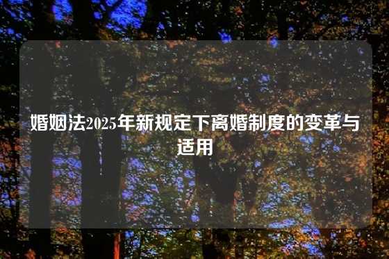 婚姻法2025年新规定下离婚制度的变革与适用
