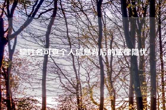 输姓名可查个人信息背后的法律隐忧