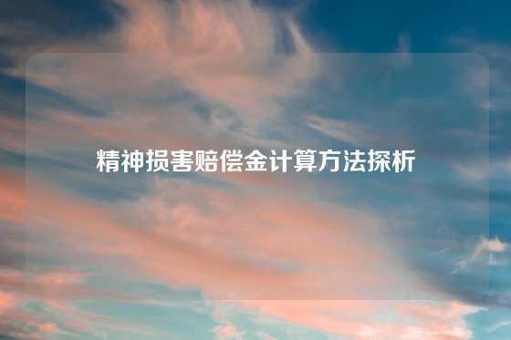 精神损害赔偿金计算方法探析