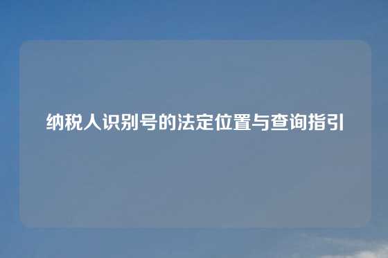 纳税人识别号的法定位置与查询指引
