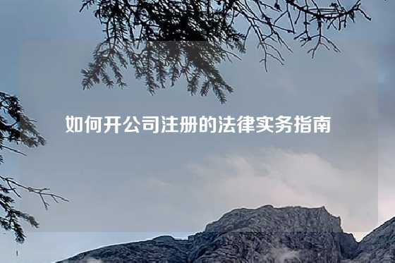 如何开公司注册的法律实务指南