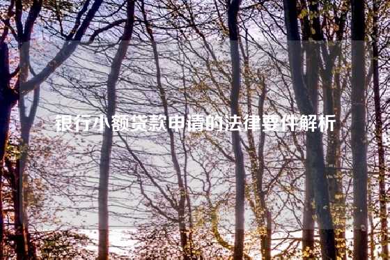 银行小额贷款申请的法律要件解析