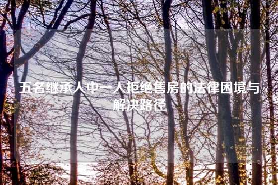 五名继承人中一人拒绝售房的法律困境与解决路径