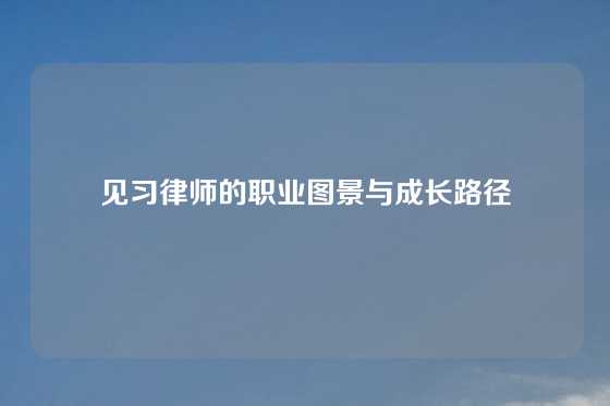 见习律师的职业图景与成长路径