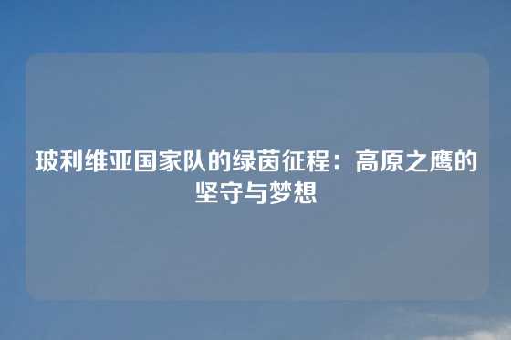 玻利维亚国家队的绿茵征程：高原之鹰的坚守与梦想