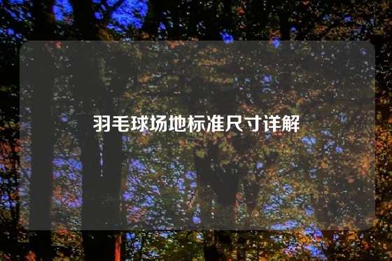 羽毛球场地标准尺寸详解