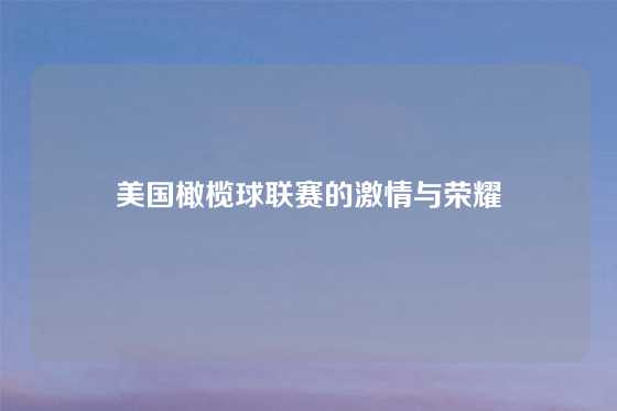 美国橄榄球联赛的激情与荣耀