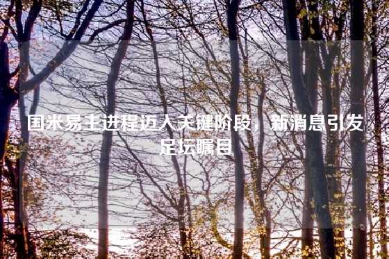 国米易主进程迈入关键阶段，新消息引发足坛瞩目
